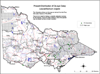 Map:  Present distribution Ox-eye Daisy