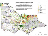 Map:  Present distribution Paterson's Curse
