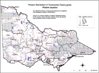 Map:  Present distribution Phalaris