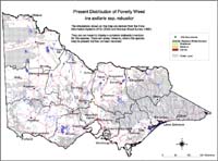 Map:  Present distribution Poverty Weed