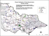Map:  Present distribution Prairie Ground Cherry