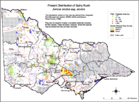 Map:  Present distribution Spiny Rush