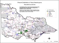 Map:  Present distribution Texas Needlgrass