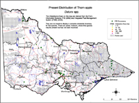 Map:  Present distribution Thornapple