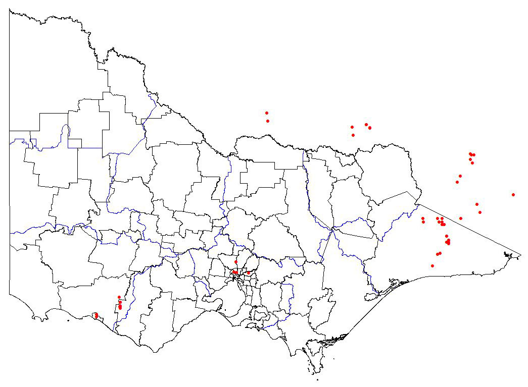 map showing the present distribution of vinca minor
