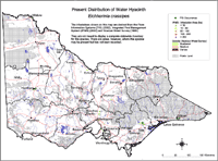 Map:  Present distribution Water Hyacinth