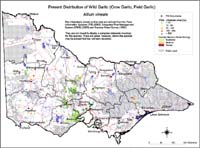 Map:  Present distribution Wild Garlic