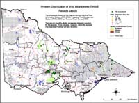 Map:  Present distribution Wild Mignonette