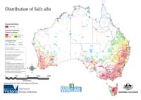 Distribution of S. alba in Australia