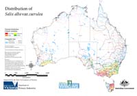 Distribution of S. albacaerulea  in Australia