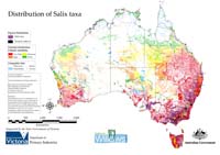 All Salix distribution Australia