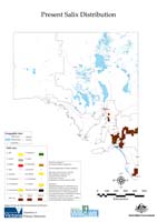 All Salix distribution South Australia