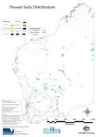 All Salix distribution Western Australia
