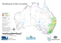 Distribution of S. eriocaphala in Australia