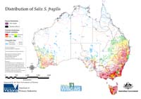 Distribution of S. fragilis in Australia