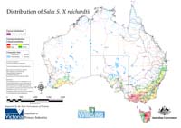 Distribution of S. reichardtii in Australia