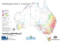Distribution of S. sepulcralis in Australia
