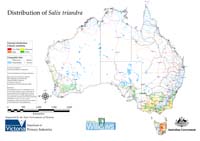 Distribution of S. triandra in Australia