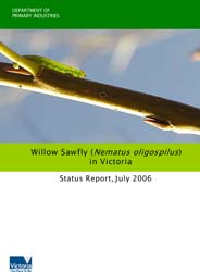 Willow Sawfly in Victoria