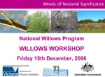 Willow Workshop Presentation