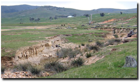 Photo: Various forms of land degradation in the Bet Bet Creek catchment near Lexton(including dryland salinity, gully erosion, tunnel erosion and sheet erosion).