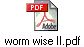 worm wise II.pdf