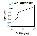 CFTT13 exchangeable aluminium