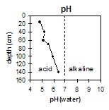 CFTT13 pH graph