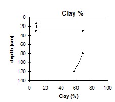 CFTT20 clay