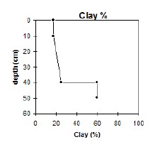 CFTT6 clay