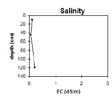 CFTT7 salinity