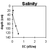 Graph: Site CFTT 9, Salinity Levels
