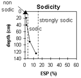 Graph: Site CFTT 9, Sodicity Levels