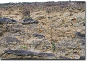 Photo: Cretaceous Sediments in road cutting