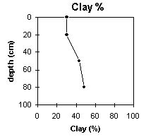 Graph: Clay % in Site EG2
