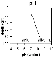 Graph: pH levels in Site EG2