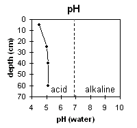 Graph: pH levels in Site EG4