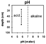 GRAPH: Soil site G4 pH