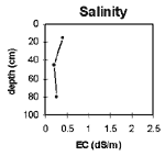 GRAPH: Soil Site G4 salinity