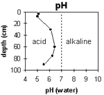 Graph: pH levels in Site G61