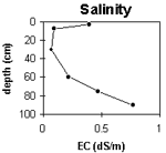 Graph: Salinity levels in Site G61
