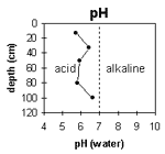 Graph: pH levels in Site G62