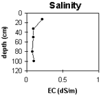 Graph: Salinity levels in Site G62