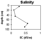 Graph: Salinity levels in Site G64
