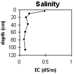 Graph: Salinity levels in Site G65