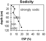 Graph: Sodicity levels in Site G65