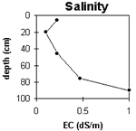 Graph: Salinity levels in Site G71