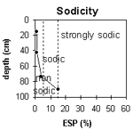 Graph: Sodicity levels in Site G75