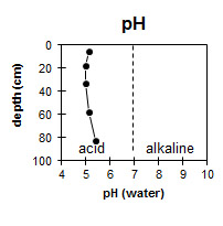 Graph: Site GP14 pH levels