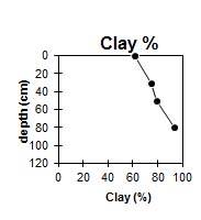 Graph: Site GP15 clay %